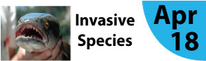 Invasive Species